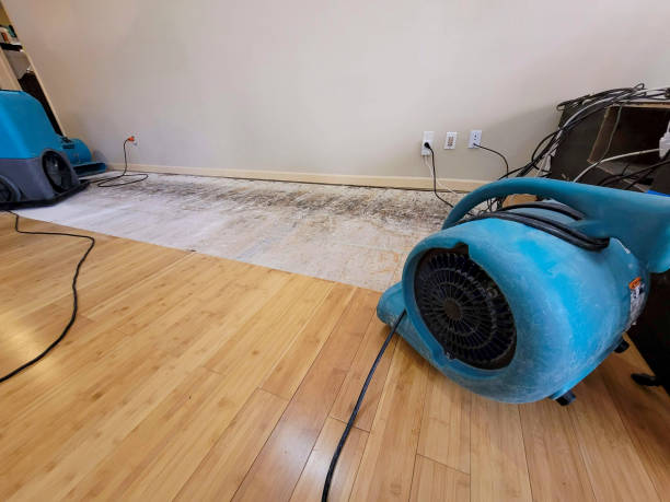 Professional Ceiling Water Damage Repair technician working in San Rafael, CA